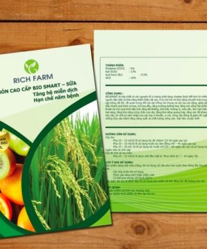 tờ rơi giới thiệu sản phẩm