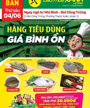 tờ rơi thực phẩm