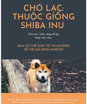 Tờ rơi tìm chó lạc